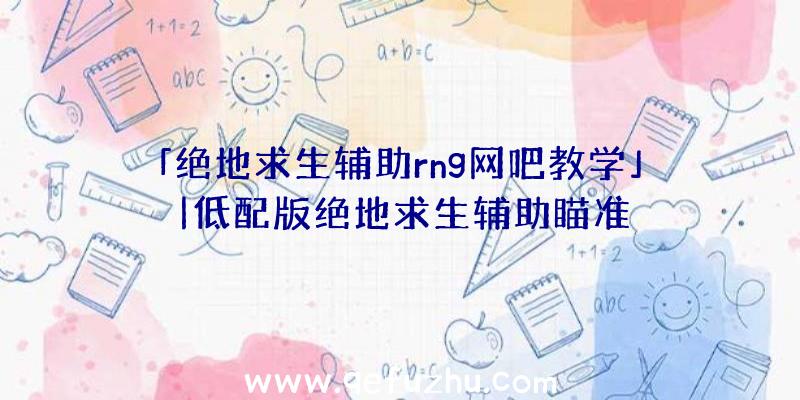 「绝地求生辅助rng网吧教学」|低配版绝地求生辅助瞄准